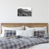 Desert Cacti Jumping Cholla B&W Foto Prints (Insitu (Slaapkamer))
