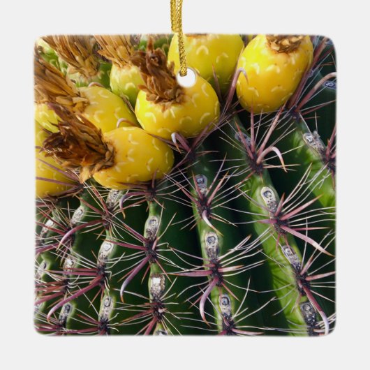 Desert Cactus Blooming Merry Kerstmis Keramisch Ornament (Voorkant)