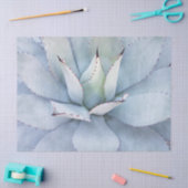 Desert Cactus Close-up-deklaagpapier Tissuepapier (Craft)