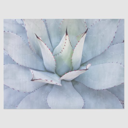 Desert Cactus Close-up-deklaagpapier Tissuepapier (Voorkant)