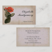 Desert Cactus Flower Cartes de visite professionne (Devant / Derrière)