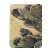 Desert Cactus | Green Splatter Magneet (Verticaal)