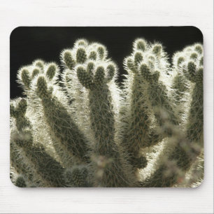 Desert Cactus Muismat