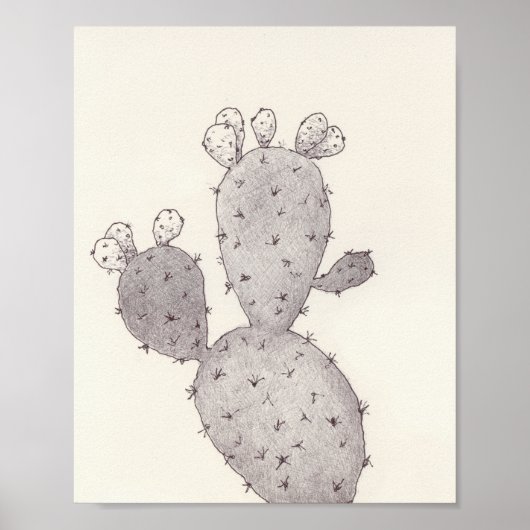 Desert Cactus Poster (Voorkant)