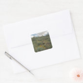 Desert Cactus Symphony Art Custom Sticker Decals (Envelop)