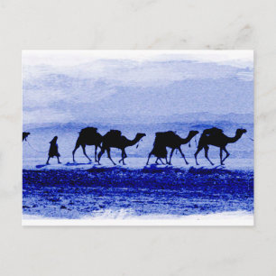 Desert Camel Caravan Blue Briefkaart