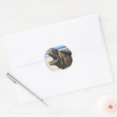 Desert Camel Stickers (Envelop)