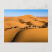 DESERT CAMEL TRAIN - Sand Dunes in Tamnougalt Briefkaart (Voorkant)