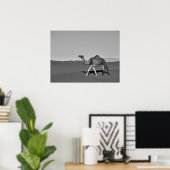 Desert Camel Walking Black and White Poster (Thuiskantoor)