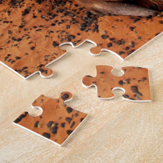 Desert Camels Jigsaw Puzzle (Côté)