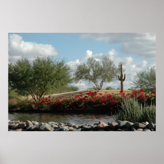 Desert Creek Poster (Voorkant)