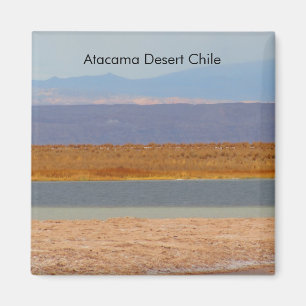 Désert d'Atacama, aimant du Chili