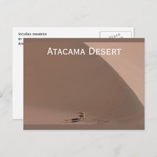 Désert d'Atacama, Chili Carte postale (Devant / Derrière)