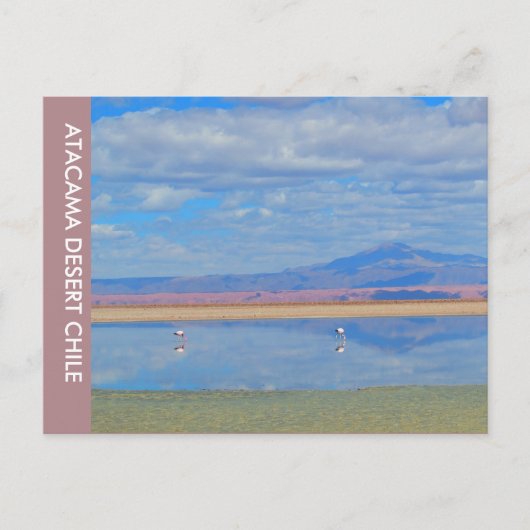 Désert d'Atacama, Chili Carte postale (Devant)