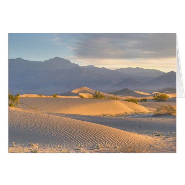 Desert Dawn (Voorkant Horizontaal)