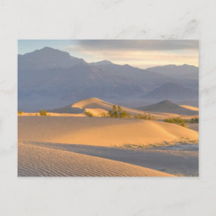 Desert Dawn Briefkaart