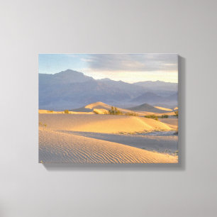 Desert Dawn Canvas Afdruk