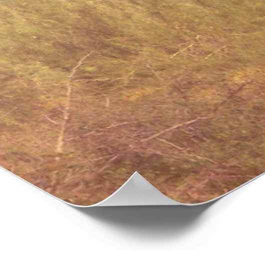 Desert Dream poster (Hoek)