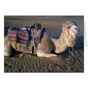 Désert du Sahara près de Merzouga, Maroc