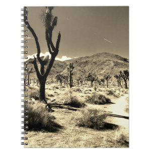 Désert errant dans le Carnet Sepia