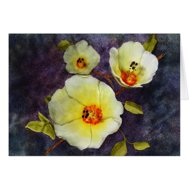 Desert Hibiscus (Voorkant Horizontaal)