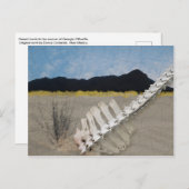 Desert Iconic op de manier van Georgia O'Keeffe. Briefkaart (Voorkant / Achterkant)