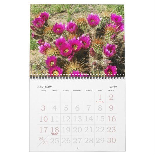 DESERT IN BLOOM KALENDER (Jan 2027)