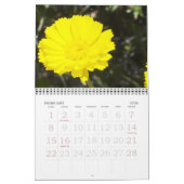 DESERT IN BLOOM KALENDER (Feb 2026)