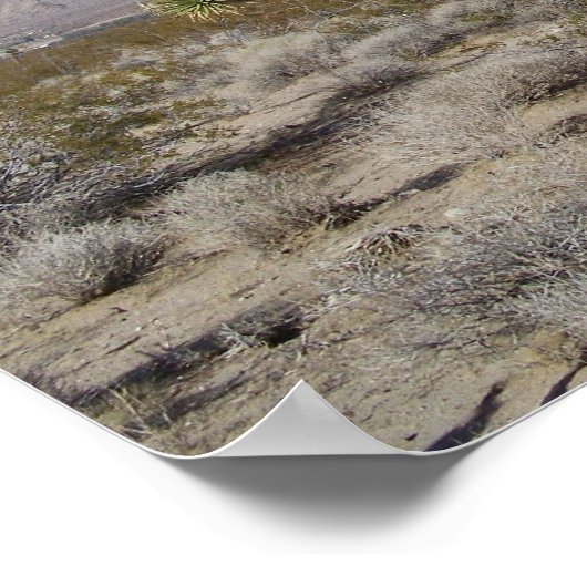 Desert Joshua Tree Poster (Hoek)