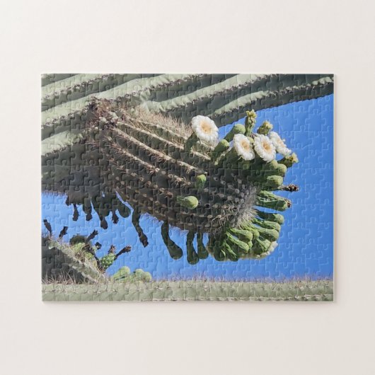 Desert Life Puzzle (Horizontal)