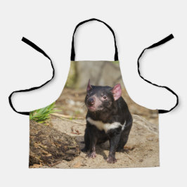 Desert Light – Tasmanian Devil Schort