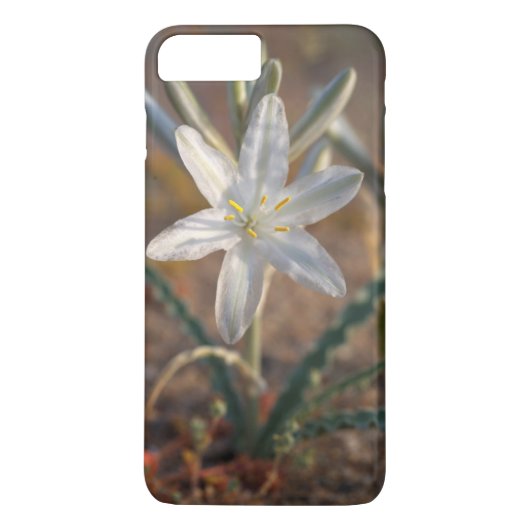 Desert Lily Wildbloblobloemen Case-Mate iPhone Case (Achterkant)