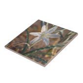 Desert Lily Wildbloblobloemen Tegeltje (Zijkant)