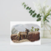 Desert Mountain Sheep Briefkaart (Staand voorkant)
