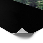 Desert Oasis Poster (Hoek)