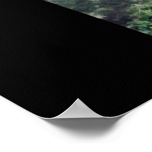 Desert Oasis Poster (Hoek)