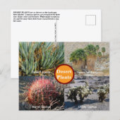Desert Plants Postcard Briefkaart (Voorkant / Achterkant)