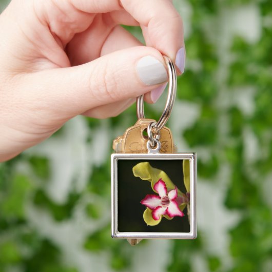 Desert-Roos (Adenium Obesum), Zuid-Afrika Sleutelhanger (Hand)