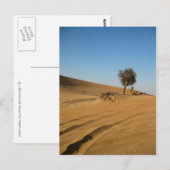 Desert Safari Abu Dhabi Briefkaart (Voorkant / Achterkant)