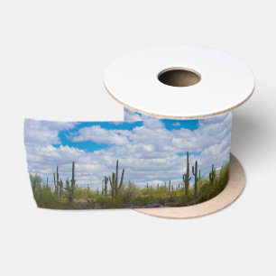 Desert Saguaro Cactus Party Clouds Natuur Lint