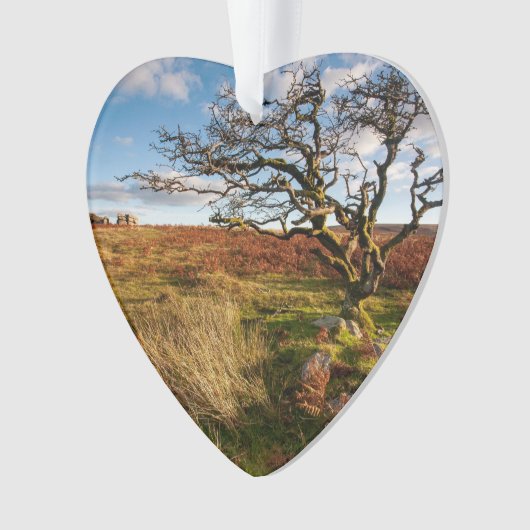 Desert Savannah Dated Photo Custom Ornament (voorkant)