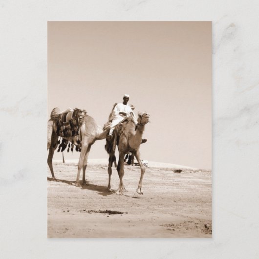 Desert Scene Briefkaart (Voorkant)