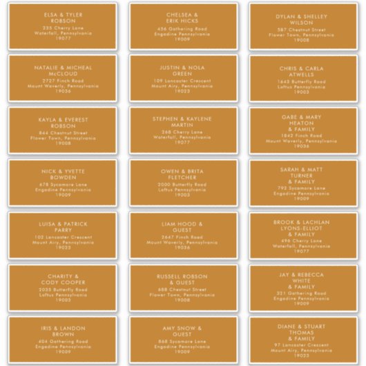 Désert simple | Étiquettes de adresse orange brûlé (Devant)