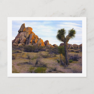 " Desert Soft Light " Briefkaart