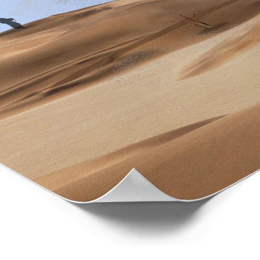 Desert Soul Poster (Coin)