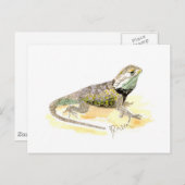 Desert Spiny Lizard Briefkaart (Voorkant / Achterkant)