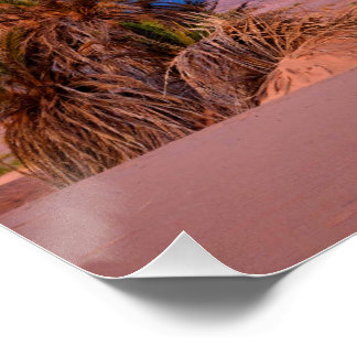Desert Star Trails: Palmbomen en pick-up truck nac Perfect Poster