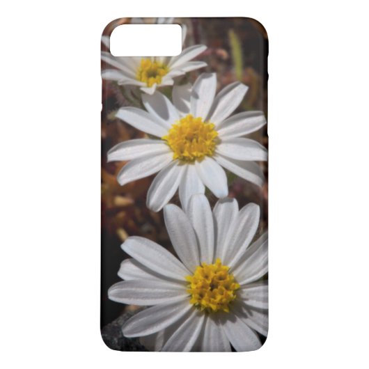 Desert Star Wildbloemen Case-Mate iPhone Case (Achterkant)