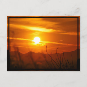 Desert Sun Briefkaart