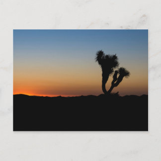 Desert Sunrise Briefkaart